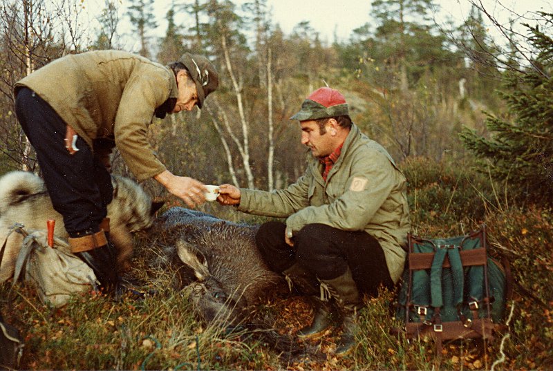 1982 forsteelg.jpg - Det drikkes Dotsup på kalven som ble første felte elg for Indre Venna Elgjaktlag